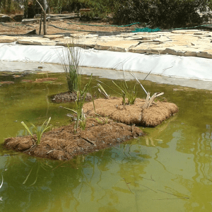 Ilha Flutuante